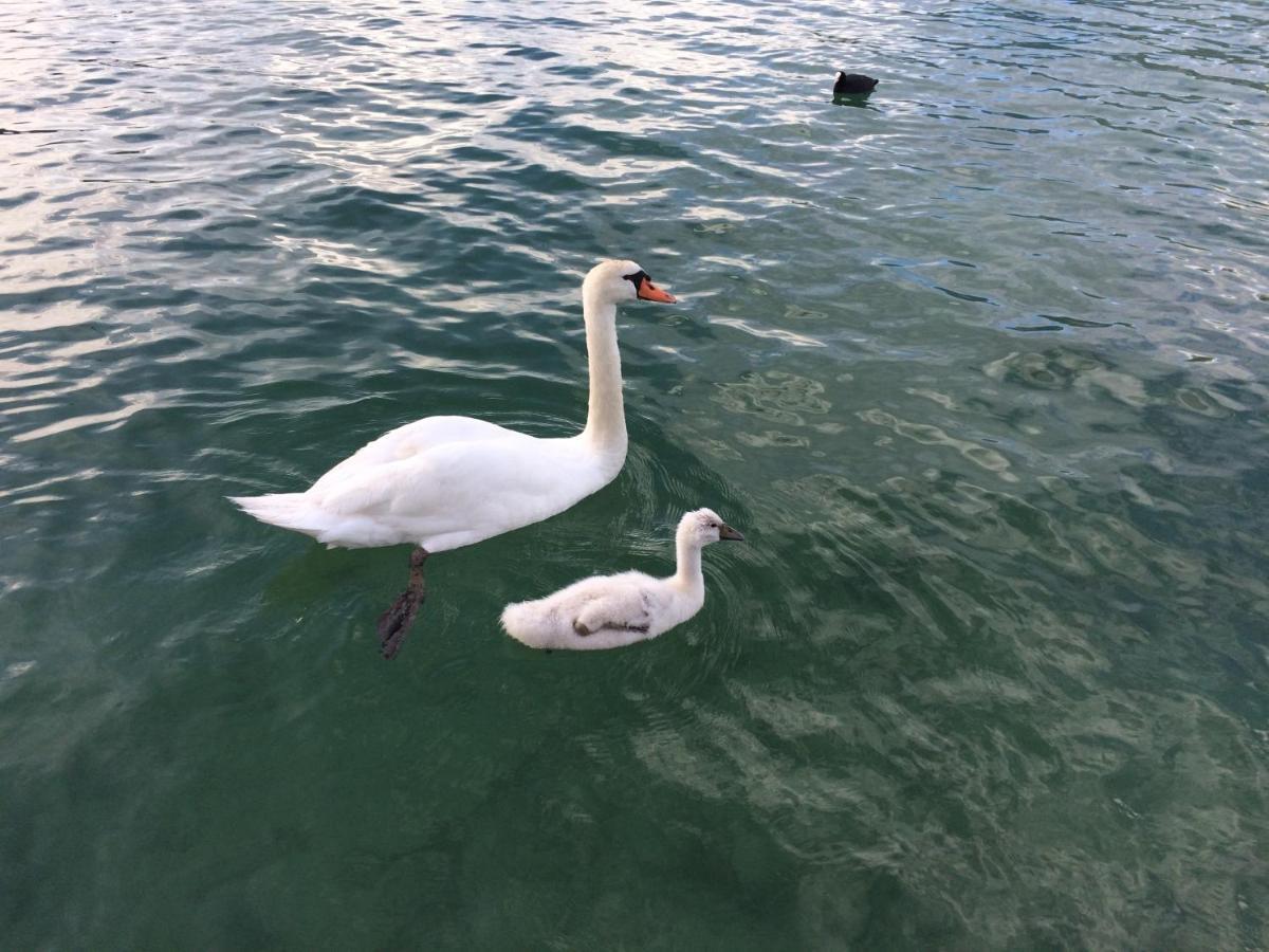 Lac Annecy Plage Privee, Duplex Baie Des Voiles Duingt Exterior foto